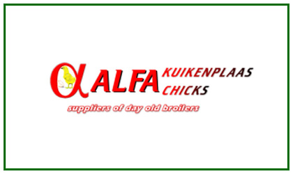 Alfa Chicks