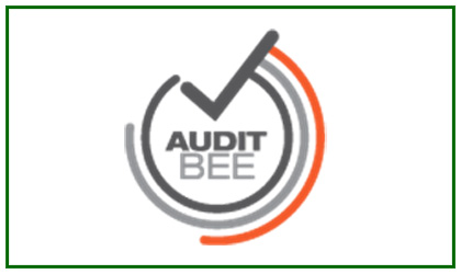 Audit BEE Training (Pty)