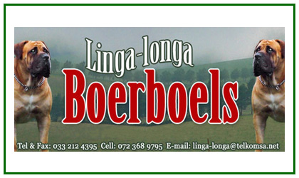 Linga Longa Boerboels