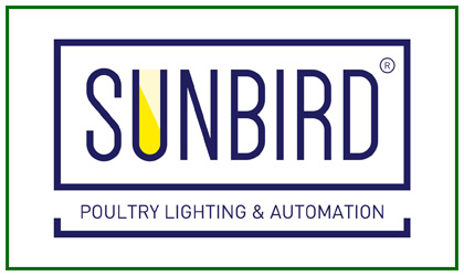 Sunbird Lighting
